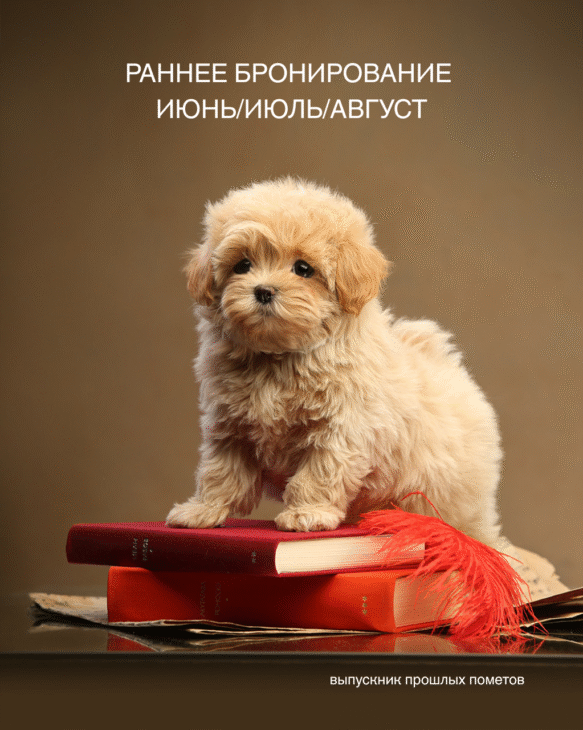 Раннее бронирование