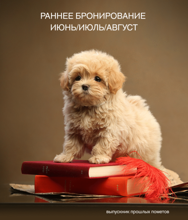 Раннее бронирование