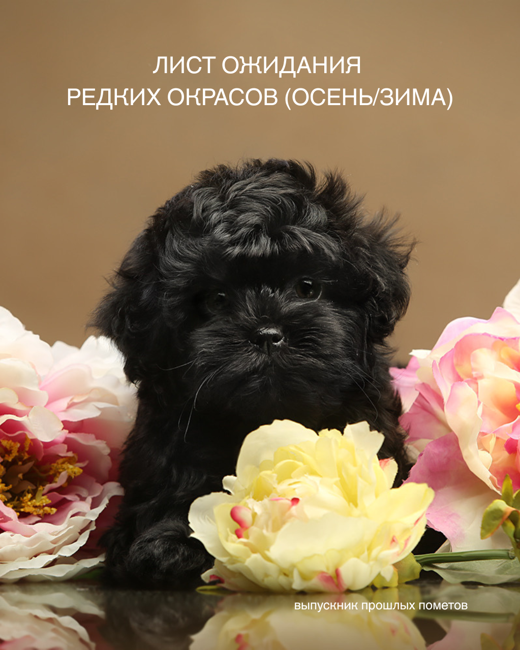 Лист ожидания